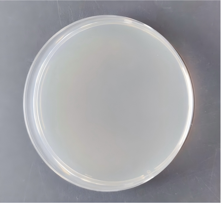 Reference material for Mycobacterium tuberculosis nucleic acid (Heat-inactivated) (strongly positive)-BNCC