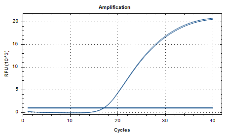 Mycobacterium bovis nucleic acid reference substance (Heat-inactivated) (strongly positive)-BNCC