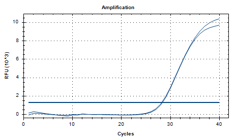 Indoor quality control product for deoxyribonucleic acid liquid of Mycobacterium marinum-BNCC
