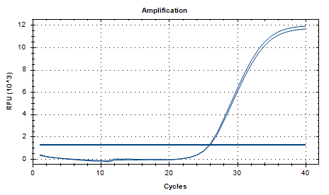 Indoor quality control product for deoxyribonucleic acid liquid of Mycobacterium marinum-BNCC