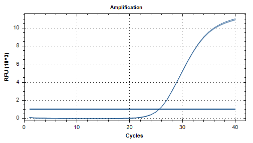 Human Adenovirus 14 DNA Standard-BNCC
