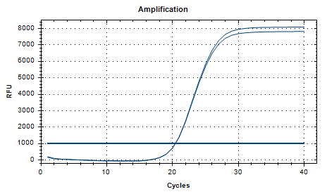 Proteus mirabilis Nucleic Acid Reference Material (Thermally Inactivated) (Strongly Positive)-BNCC