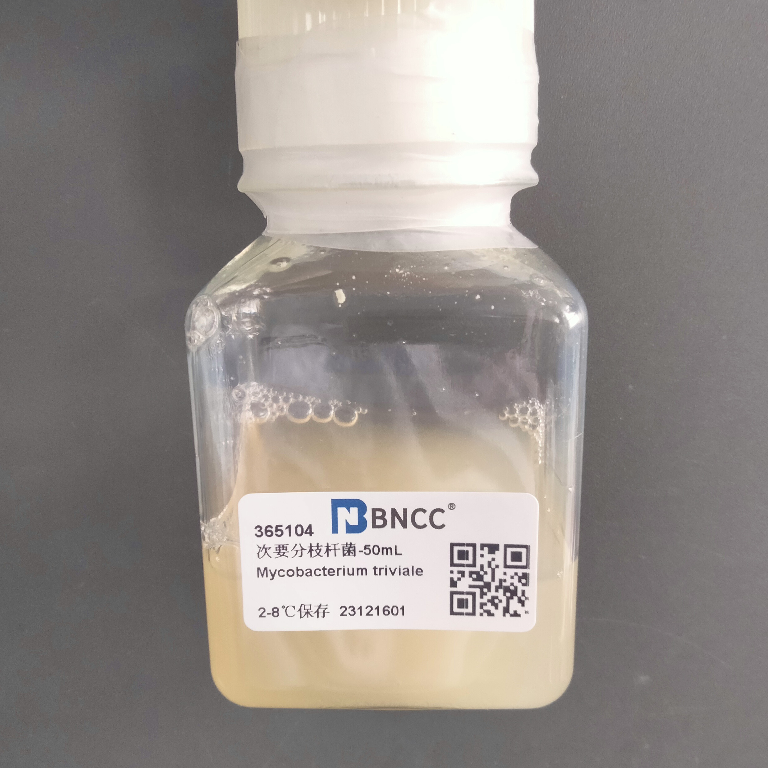 Secondary mycobacteria-BNCC