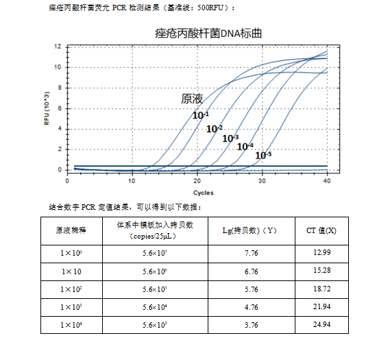 Propionibacterium acnes DNA standard-BNCC