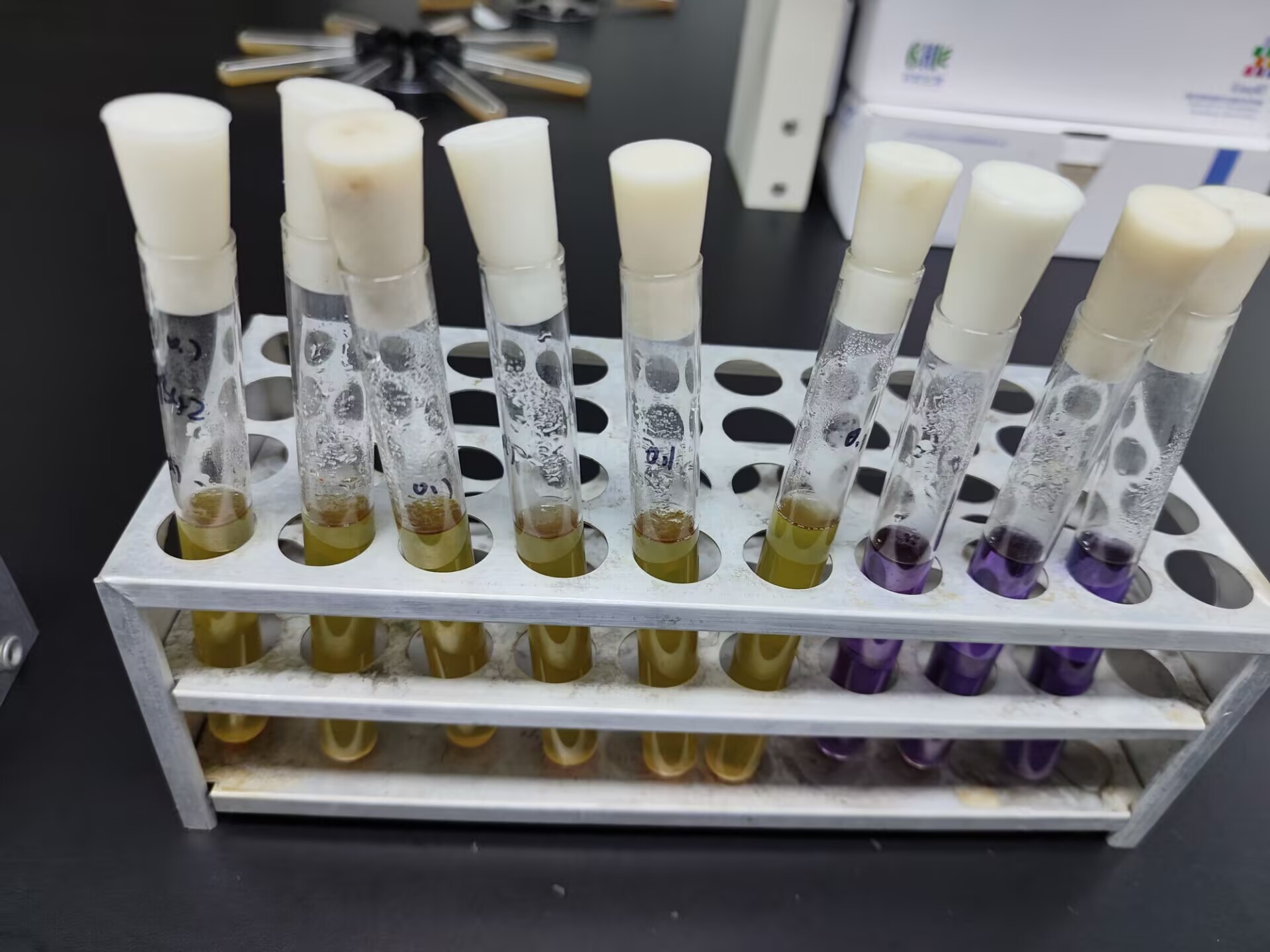 Fertilizer fecal coliform quality control sample-BNCC