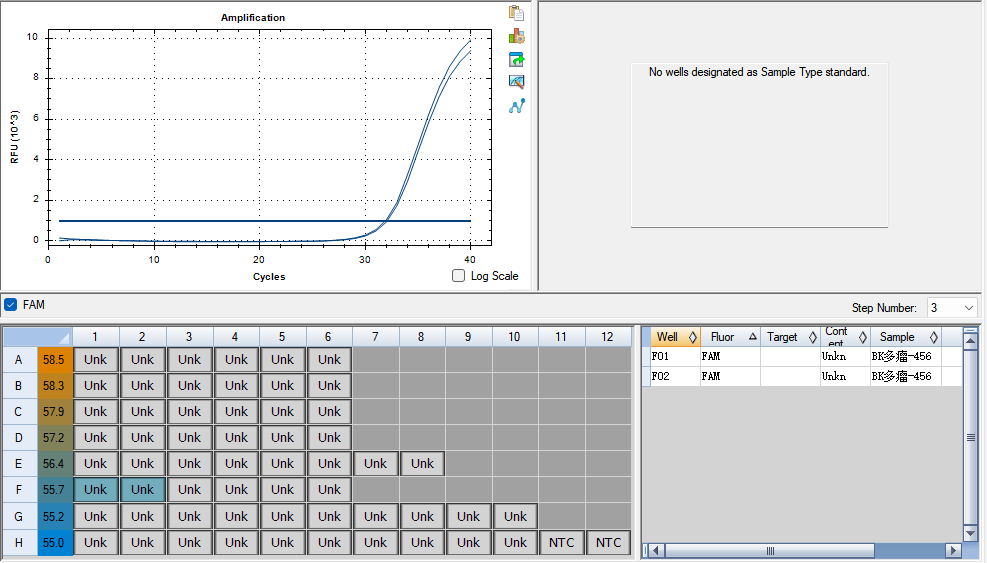 BK multi tumor virus DNA standard-BNCC