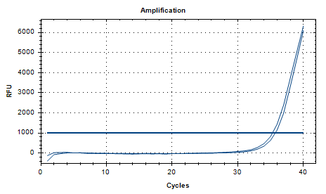 Salmonella typhimurium DNA standard-BNCC
