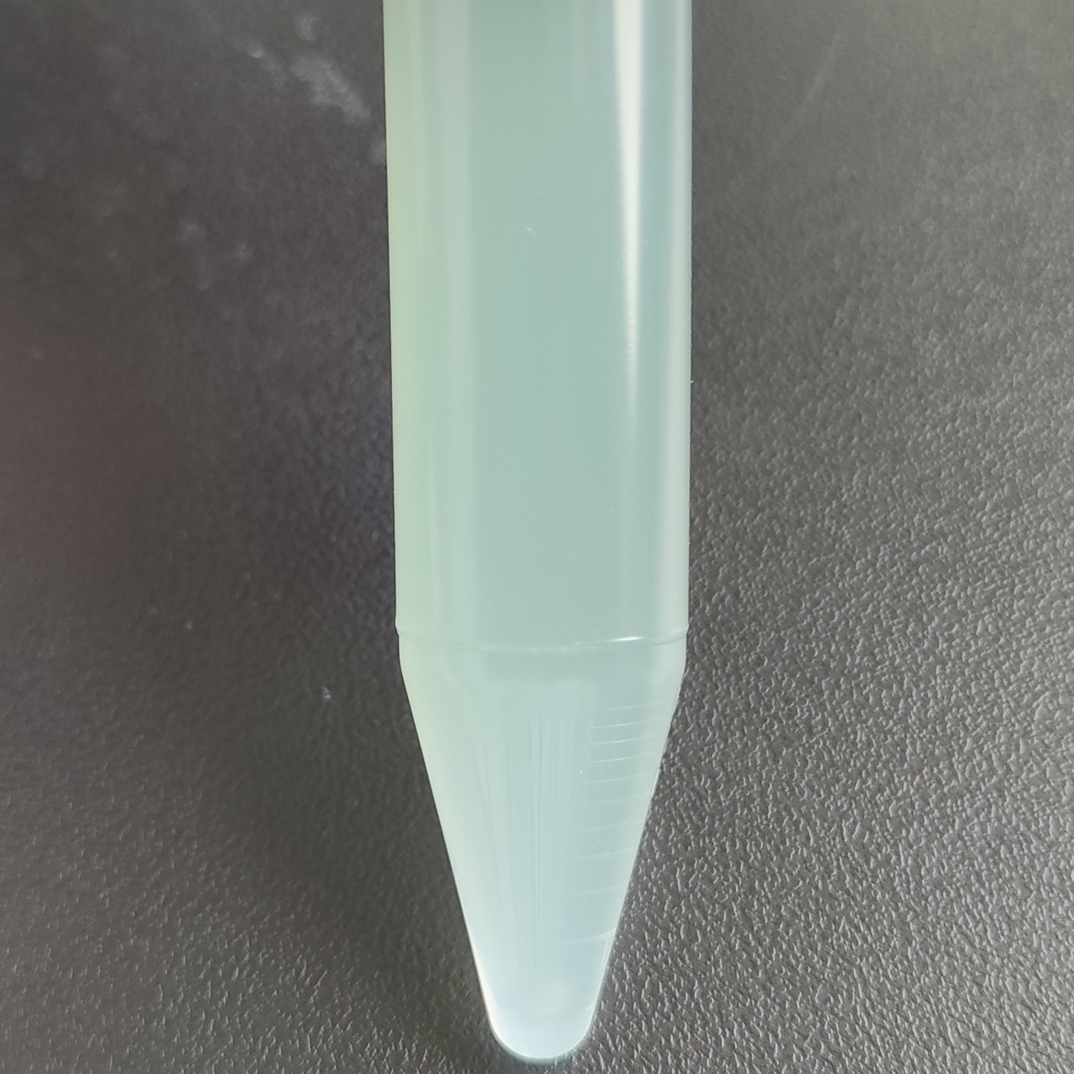 Penicillium brevicornum-BNCC