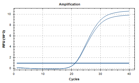 Indoor quality control product of Cryptococcus tetragattii deoxyribonucleic acid liquid-BNCC