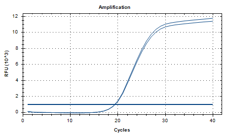Intestinal Aggregating Escherichia coli DNA Liquid In-House Quality Control Material-BNCC