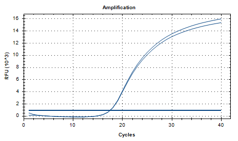Helicobacter pylori reference substance (Chemical inactivation) (strongly positive)-BNCC