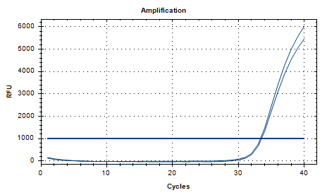 Indoor quality control product for deoxyribonucleic acid of Stenotrophomonas maltophilia-BNCC