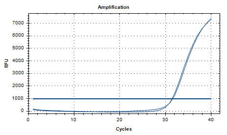 Indoor quality control product for deoxyribonucleic acid of Stenotrophomonas maltophilia-BNCC