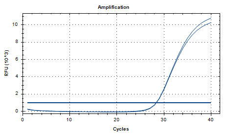 Indoor quality control product for deoxyribonucleic acid of Stenotrophomonas maltophilia-BNCC