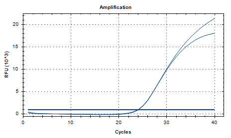 Mycobacterium gordonae nucleic acid reference (Heat-inactivated) (Strongly positive)-BNCC