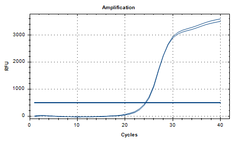 Nocardia transvalensis nucleic acid reference (Heat-inactivated) (Strongly positive)-BNCC