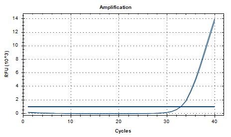 Aspergillus oryzae DNA lab quality control-BNCC