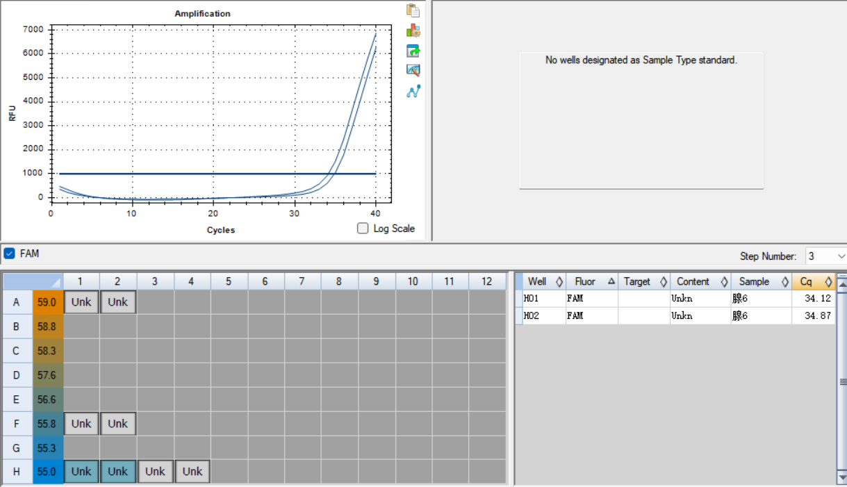 Human adenovirus type 6 DNA standard-BNCC