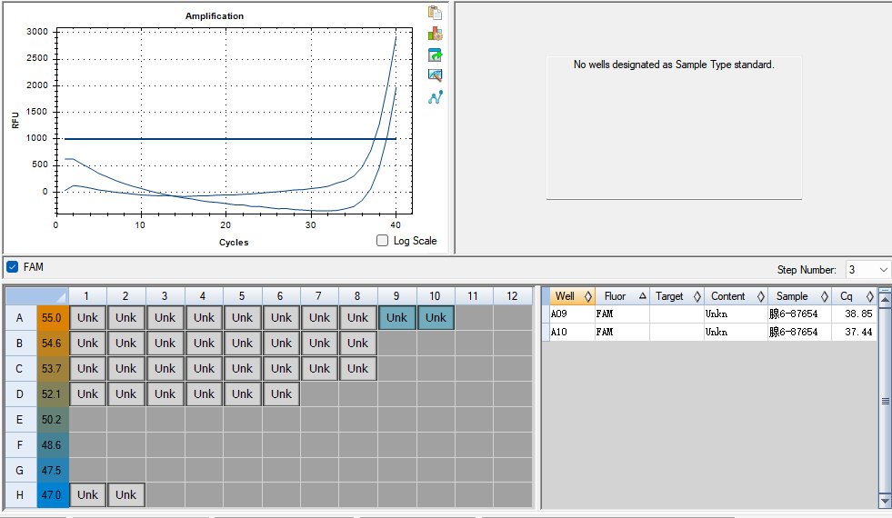 Human adenovirus type 6 DNA standard-BNCC
