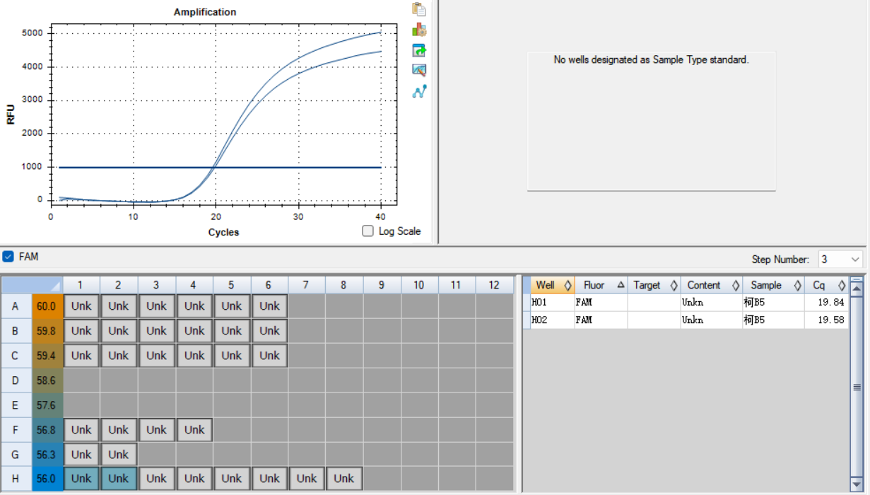 Human Coxsackievirus B5 nucleic acid reference substance (Heat-inactivated) (strongly positive)-BNCC