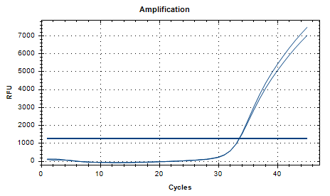 Indoor quality control product for deoxyribonucleic acid of Mycobacterium bovis-BNCC