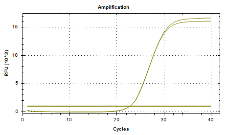 Staphylococcus capitis subsp. capitis DNA Liquid Room Intra-Laboratory Quality Control Material-BNCC