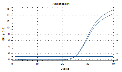 Aspergillus flavus DNA lab quality control-BNCC