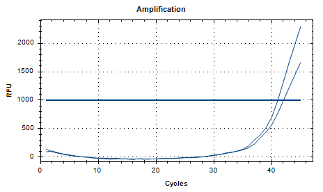Human Herpesvirus 2 DNA Liquid Internal Quality Control Material-BNCC