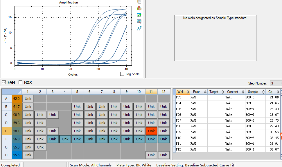 Human echovirus 9 RNA standard-BNCC