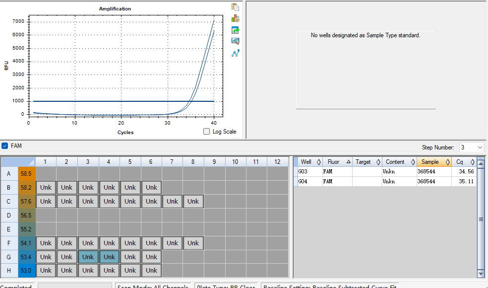 Rodent protoparvovirus type 1 (mouse parvovirus MVM) DNA standard-BNCC