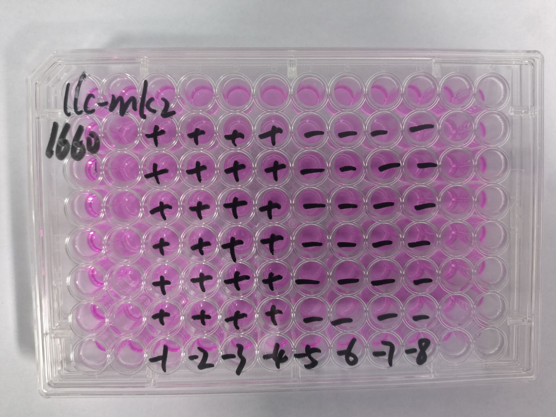 Human echovirus 30-BNCC