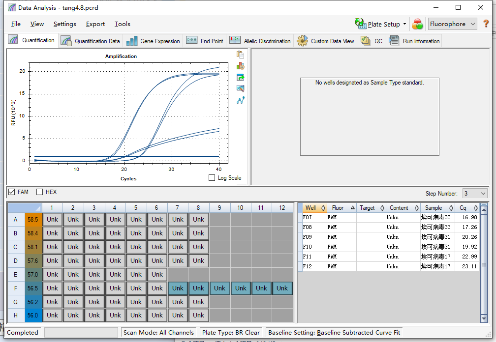 Human echovirus 33-BNCC