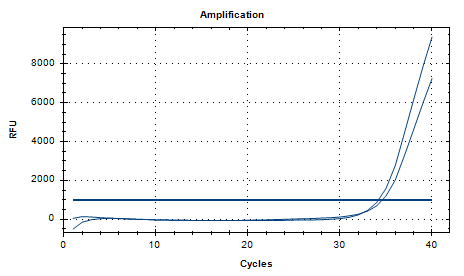 Human Adenovirus D DNA Standard-BNCC