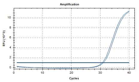 Human Adenovirus D DNA Standard-BNCC