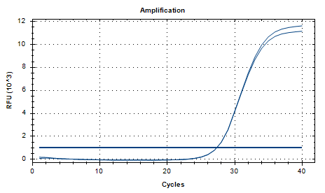 Human Adenovirus D DNA Standard-BNCC