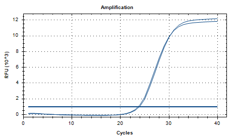 Human Adenovirus D DNA Standard-BNCC