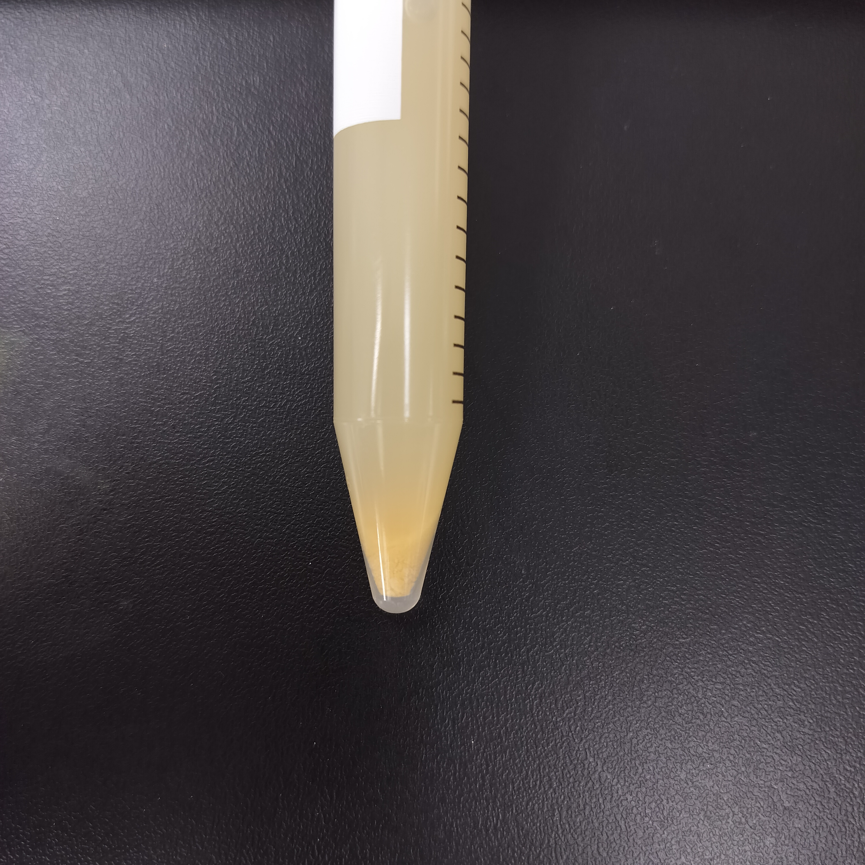 Brazilian Nocardia-BNCC