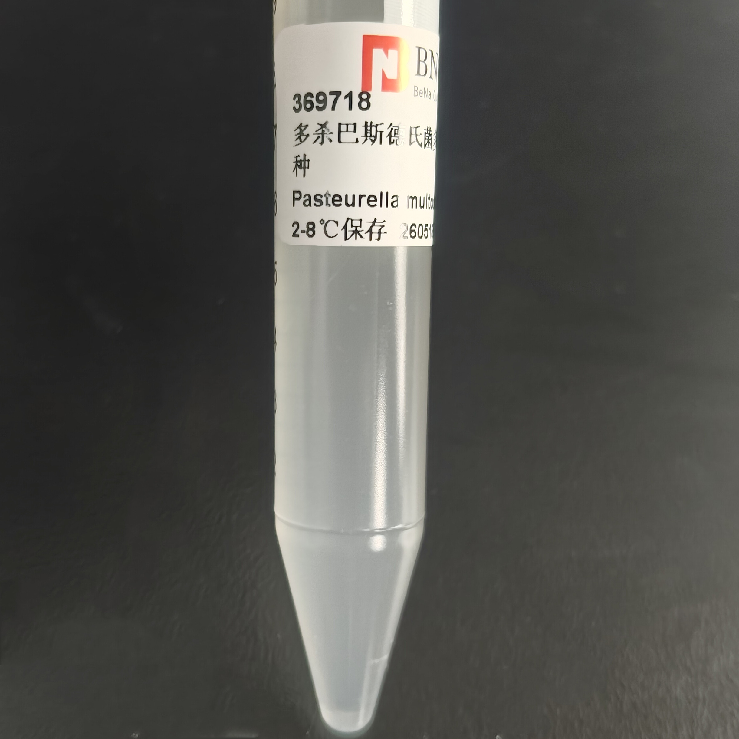 Pasteurella multocida multocida subspecies-BNCC