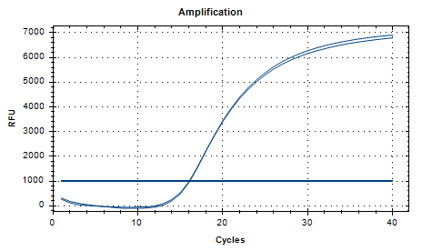 Staphylococcus aureus DNA Standard-BNCC