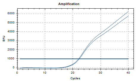 Klebsiella pneumoniae DNA standard-BNCC