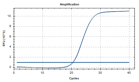 Human Adenovirus D DNA Standard-BNCC