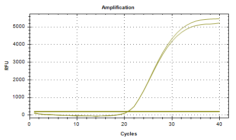 Acinetobacter baumannii DNA standard-BNCC