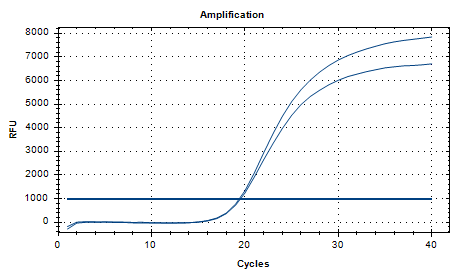 Staphylococcus aureus subsp DNA standard-BNCC