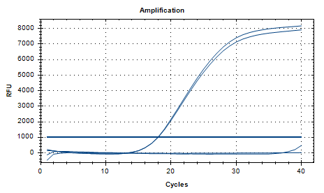 Pseudomonas aeruginosa DNA Standard-BNCC