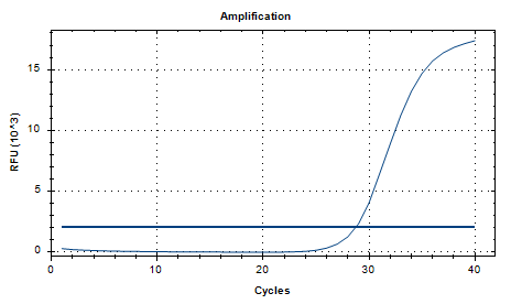 Human Adenovirus Type 10 DNA Standard-BNCC