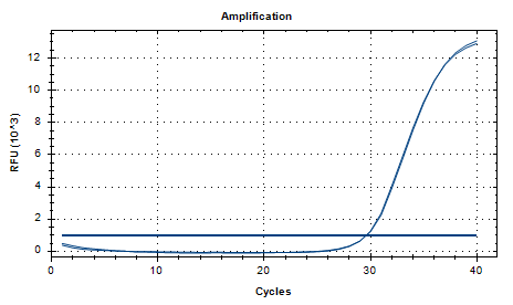 Human Mammary Adenovirus B DNA Reference Material-BNCC