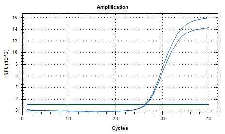 Human Mammary Adenovirus B DNA Reference Material-BNCC