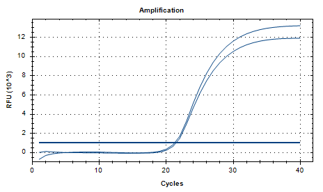 Staphylococcus aureus (MRSA) Nucleic Acid Reference Material (Thermally Inactivated) (Strongly Positive)-BNCC