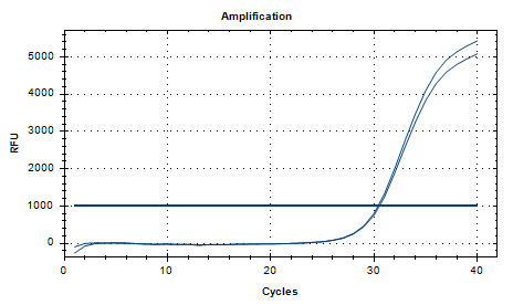 Haemophilus parainfluenzae DNA lab quality control-BNCC