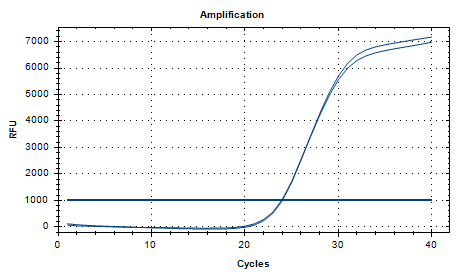 Haemophilus parainfluenzae DNA lab quality control-BNCC